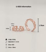 woii-858-info