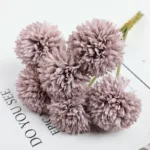 ping-pong-chrysanthemum-01-1