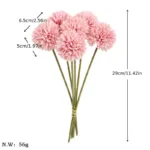 ping-pong-chrysanthemum-01-2