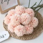 ping-pong-chrysanthemum-01-4