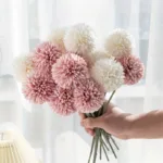 ping-pong-chrysanthemum-01-5