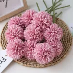 ping-pong-chrysanthemum-01-6