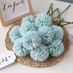 ping-pong-chrysanthemum-01-7