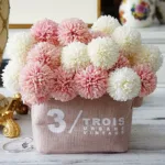 ping-pong-chrysanthemum-01-8