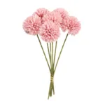 ping-pong-chrysanthemum-01-9