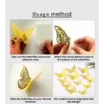 C-butterfly-1-how-to-use