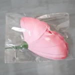 G0387-package