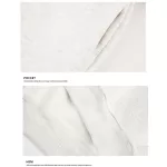 CATTEE-5879-details-22